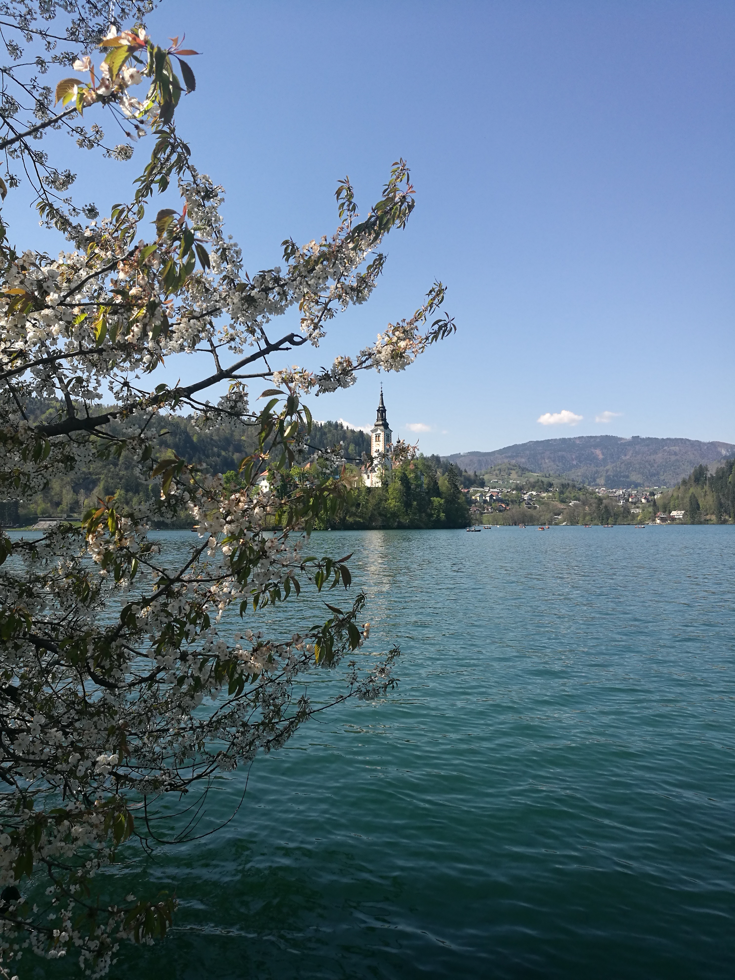 Lago di Bled - Slovenia