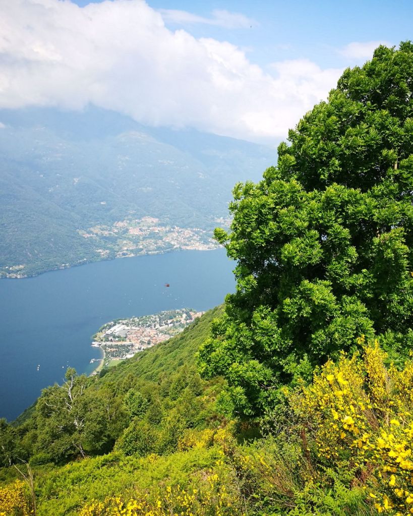 Raggiungere l'Alpe Giumello da Alpe Camaggiore - trekking Valsassina