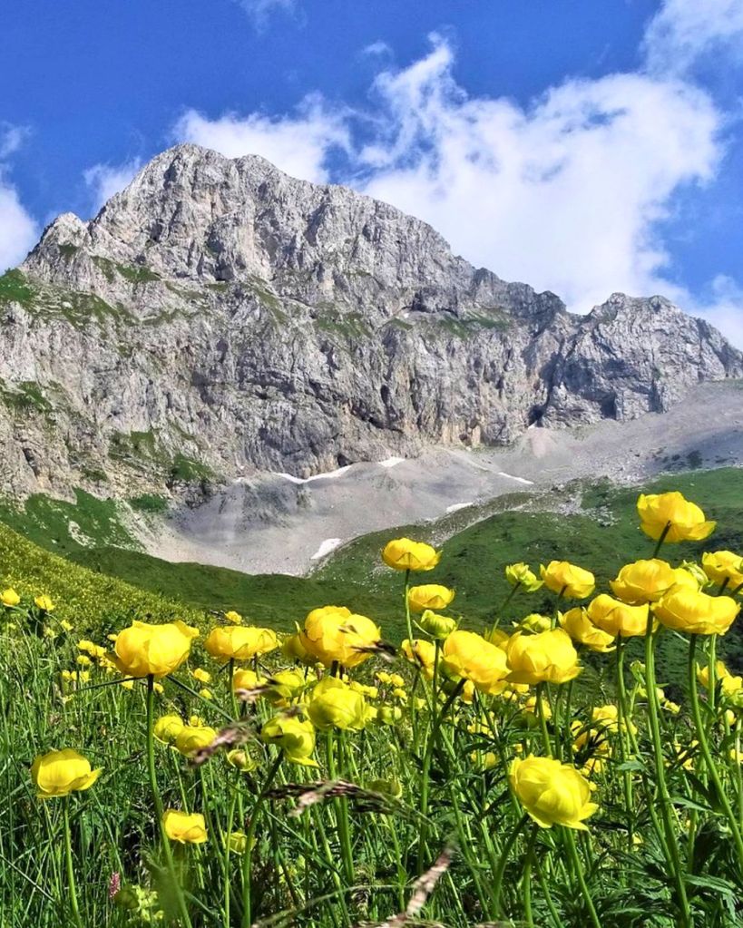 Sentiero dei Fiori: da Passo Branchino a Capanna 2000