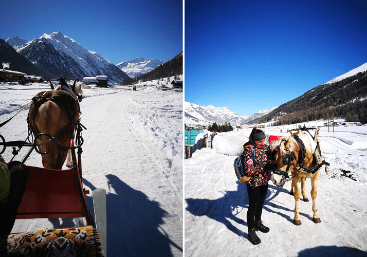 carrozza coi cavalli a Livigno