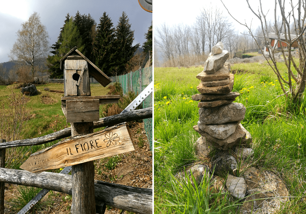 Valsassina, trekking facile ai Piani di Nava