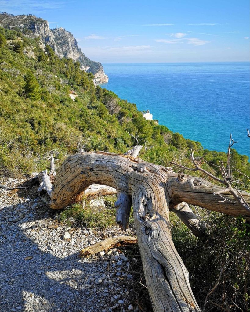 Sentiero Balcone sul Mare a Varigotti