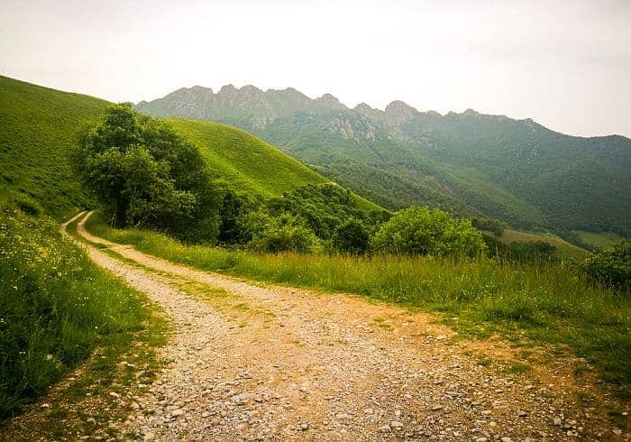 Sentiero dei Grandi Alberi, anello del Resegone in Valsassina (Lecco)