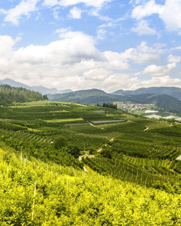 Val di Non - Trentino Alto Adige