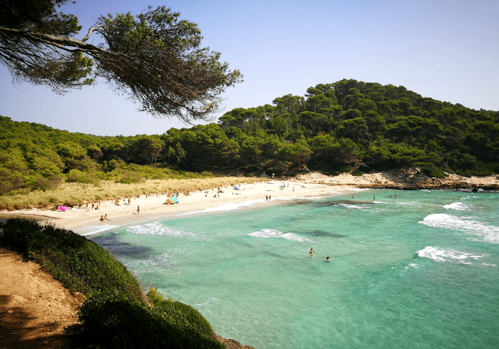 Cala Trebalúger, spieggia vergine a Minorca