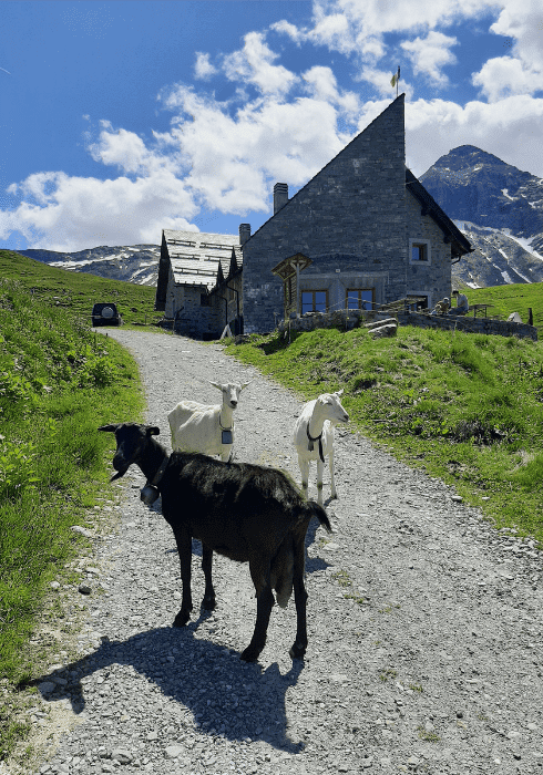 Rifugio Cà Runcasch ad Alpe Campagneda