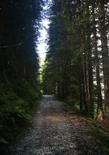 Sentiero verso il Rifugio Gerli Porro, a Chiesa Valmalenco.