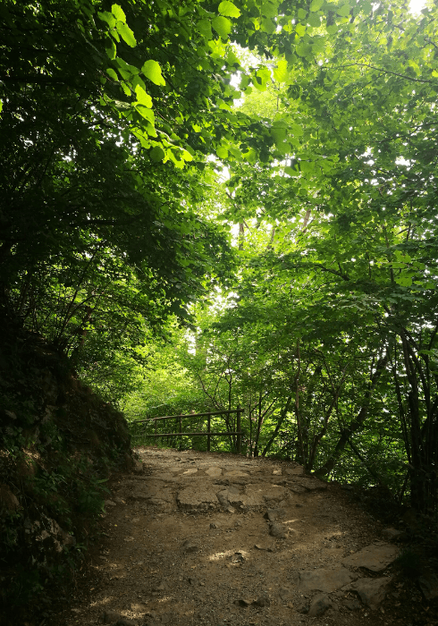 Dall'Alpe del Vicerè a Capanna Mara - trekking a Como