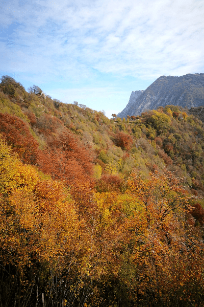 foliage-lago-di-garda