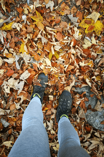 Foliage al Lago di Garda