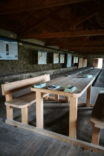 Osservatorio Ornitologico Regionale Antonio Duse