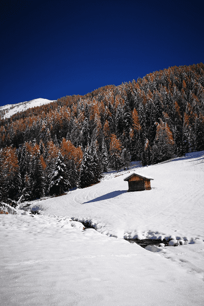 Trentino Alto Adige, passeggiata con la neve in autunno