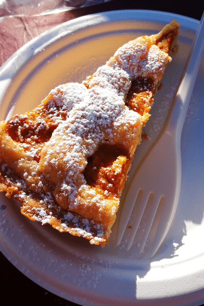 Crostata di zucca fatta in casa del rifugio parafulmine