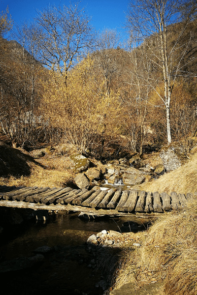 Alpe d'era, trekking e camminata semplice a lecco