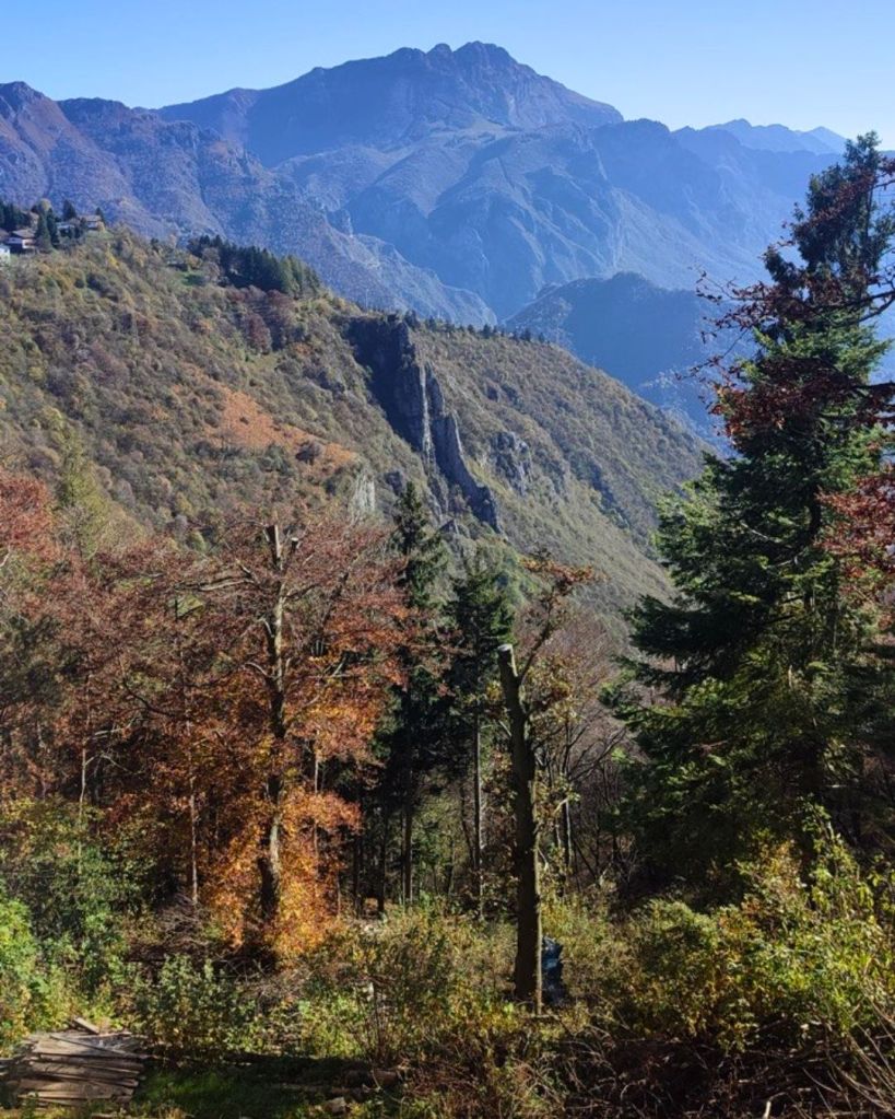 parco Valentino - Pian dei Resinelli