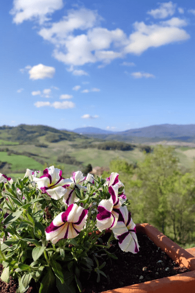 vista panoramica hotel Giogliano Radicondoli - Toscana
