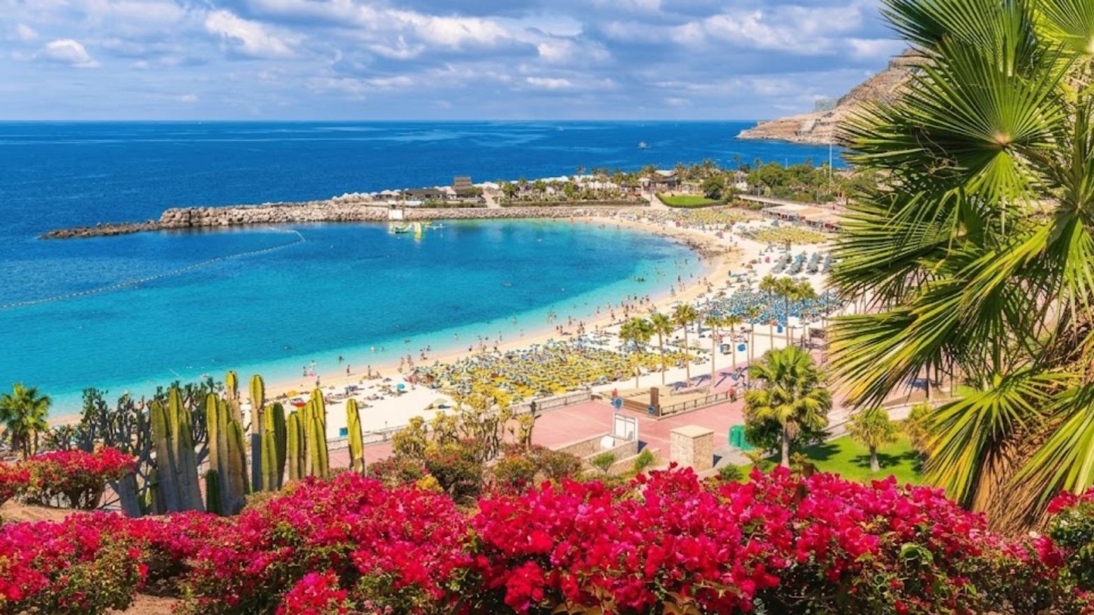 Cosa vedere a Gran Canaria guida completa all'isola delle Canarie