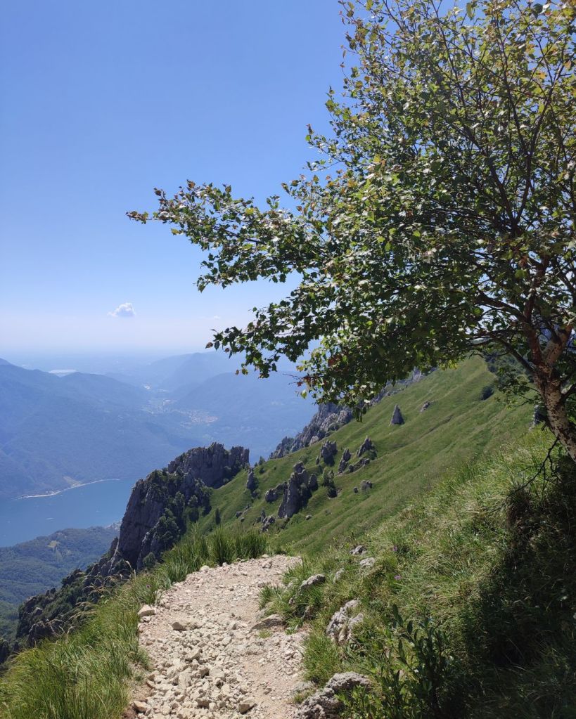 Sentiero delle Foppe - Sentiero 9 - Rifugio Rosalba