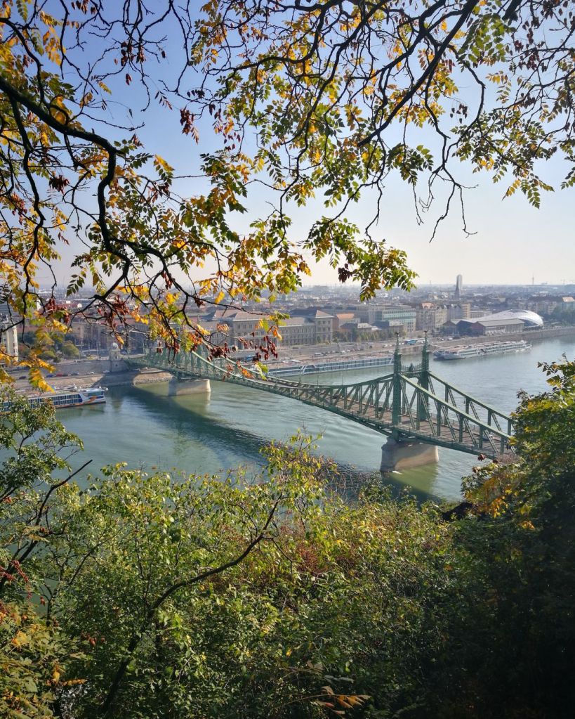Ponte delle Catene Budapest