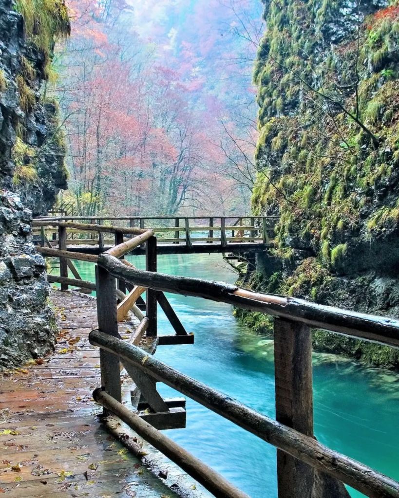 Gola di Vintgar (Vintgar Gorge) - Slovenia