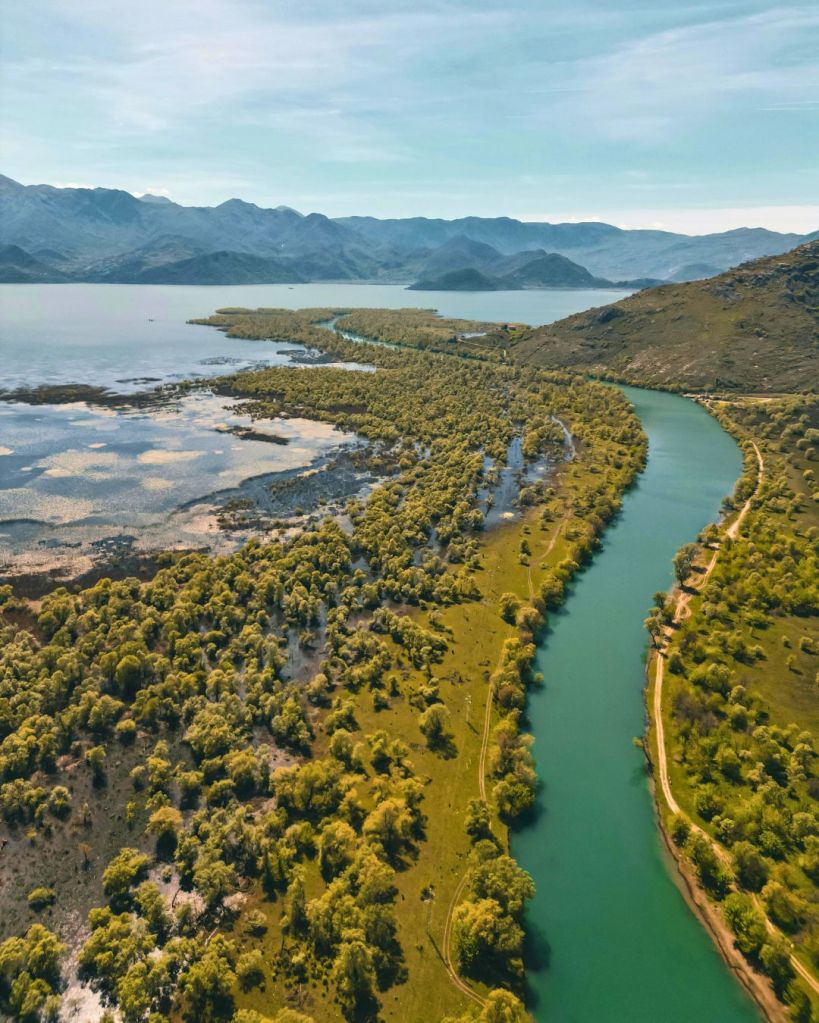 lago-di-scutari-montenegro