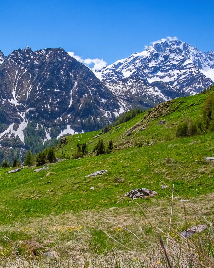 Alpe Fora - Val Malenco