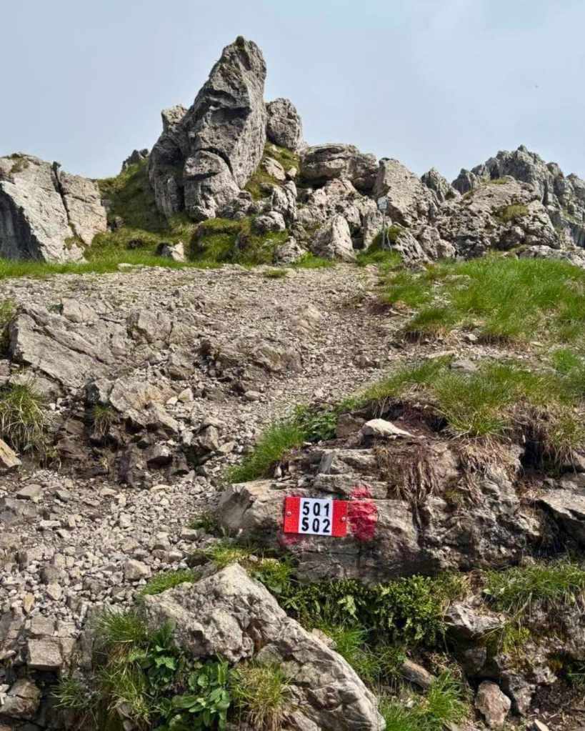 Rifugio Monte Alben: da Passo di Zambla -Oltre il Colle, Bergamo