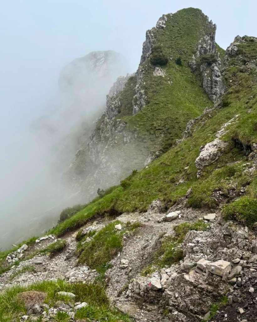 Trekking Bergamo - Rifugio Monte Alben da Passo di Zambla -Oltre il Colle