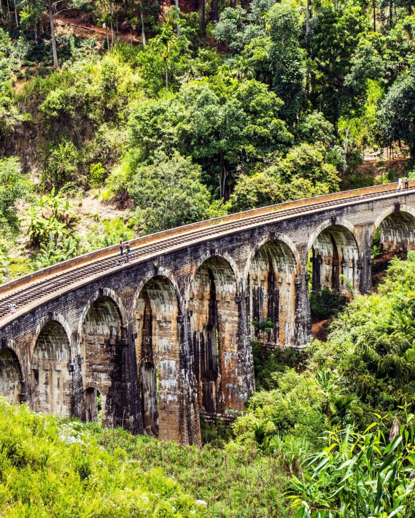 Treno Ella - Kandy in Sri Lanka - Treno panoramico