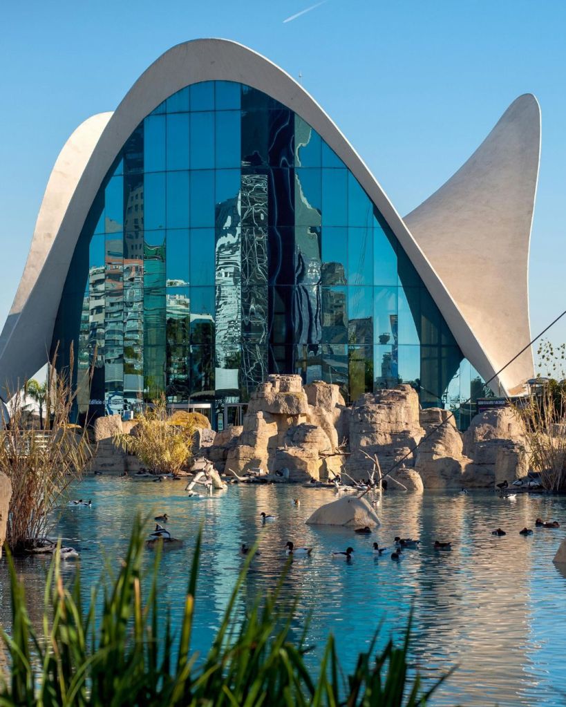 Capodanno a Valencia, Spagna