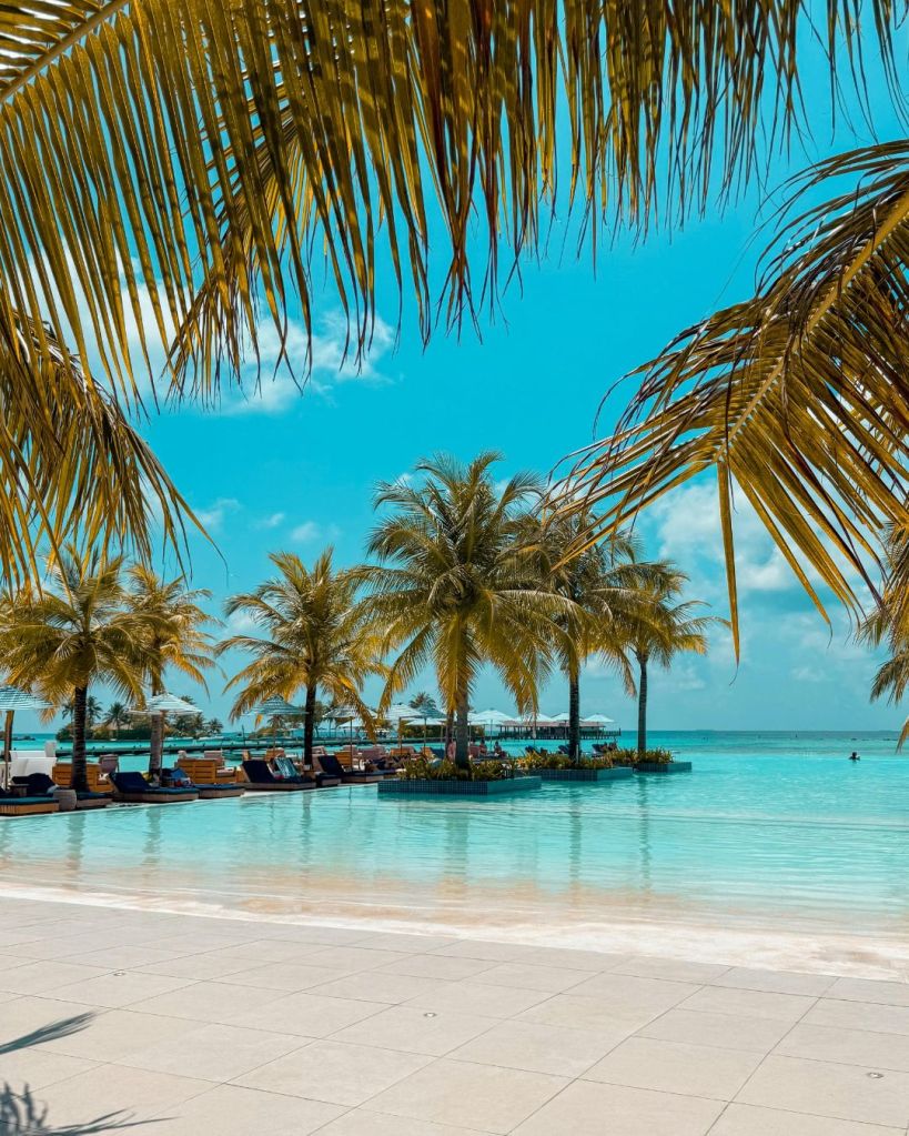 Compagnie low cost vs compagnie di linea cosa sapere