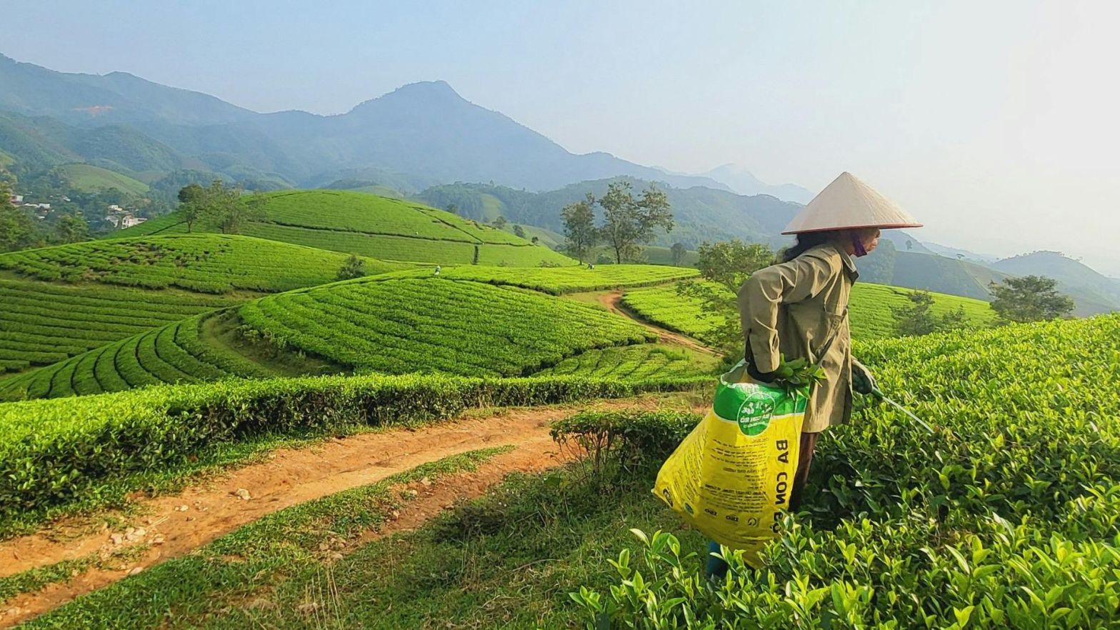 Dove andare nel 2026 destinazioni emergenti da scoprire