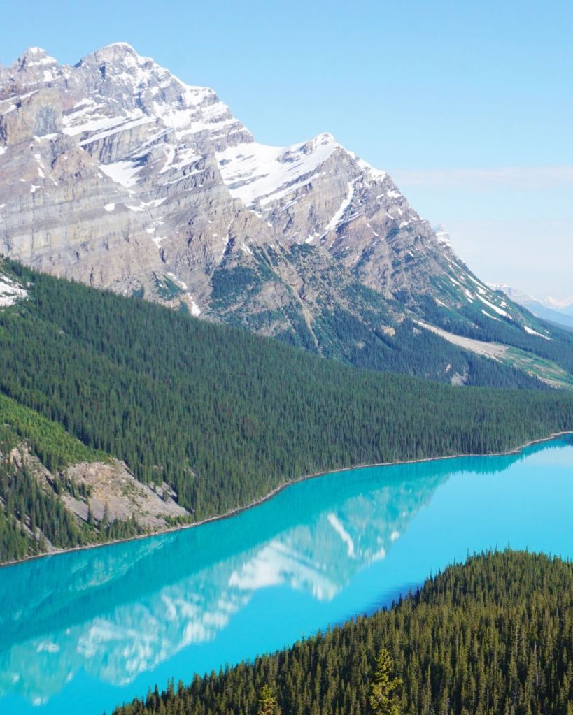 Strumenti online per cercare voli low cost