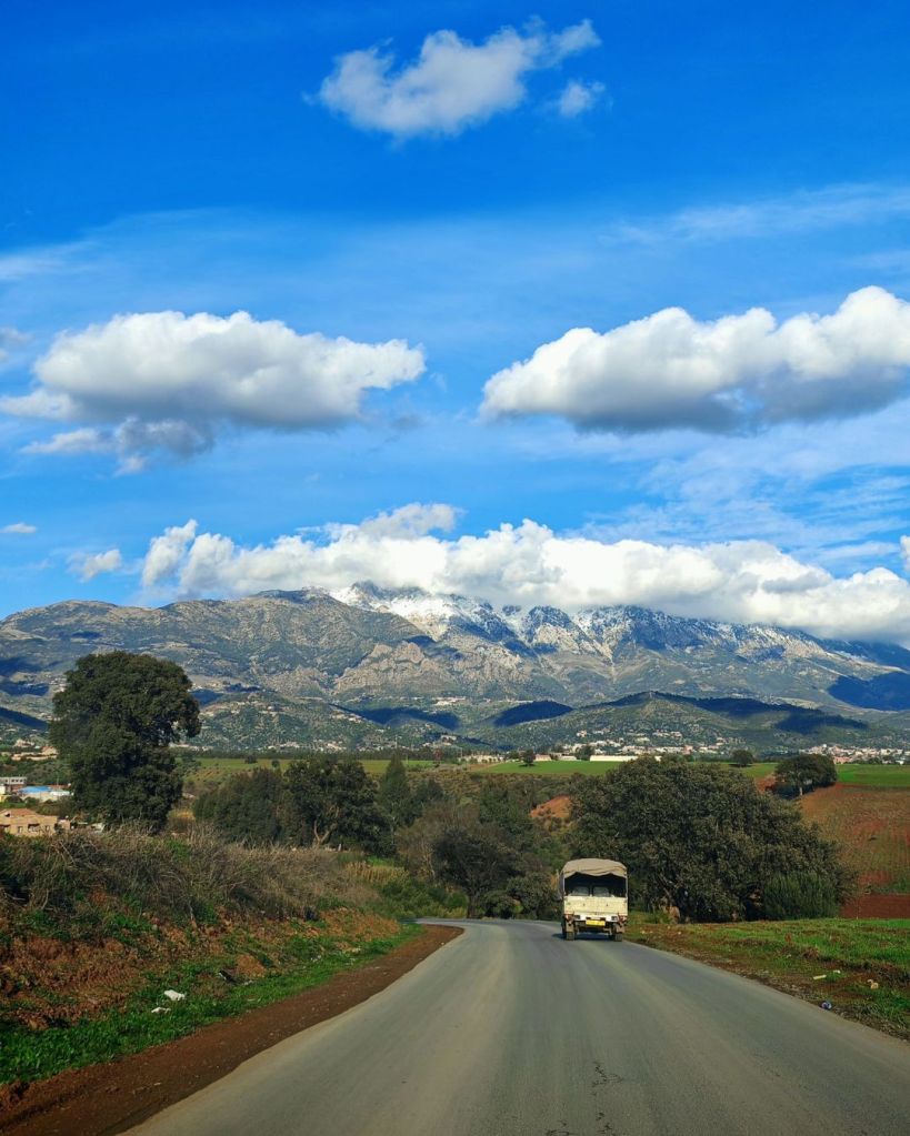 Viaggi on the road economici estate