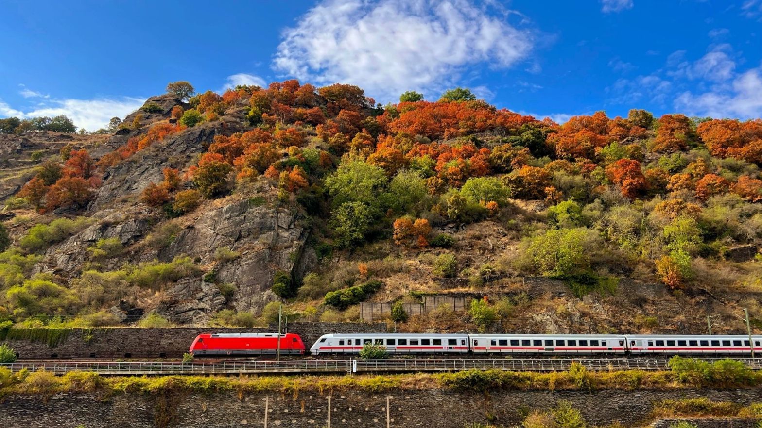 Dove vedere il foliage in Italia mete e periodi migliori