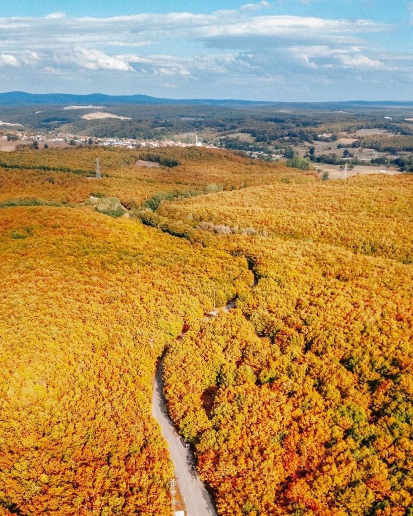 Dove vedere il foliage nel Centro Italia