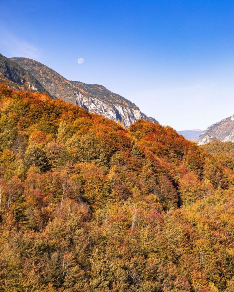 Dove vedere il foliage nel Sud Italia