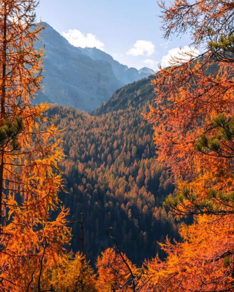 foliage - dove vederlo in italia