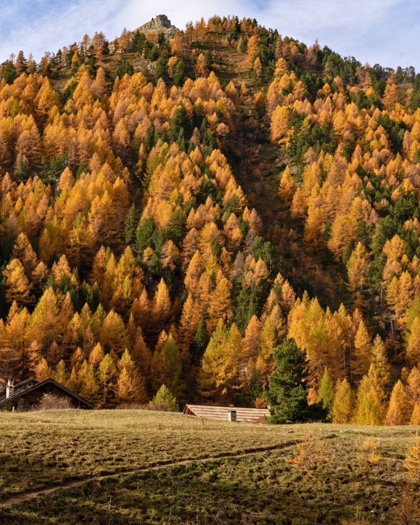 Foliage in Italia dove vederlo