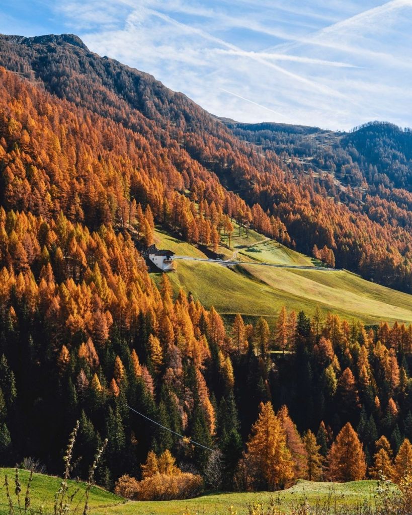 Periodo migliore per il foliage in Italia